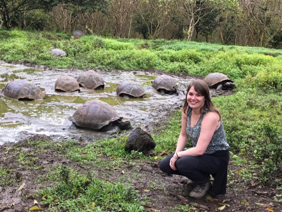 Schildpadden op Galapagos